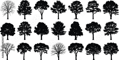 Silhouette tree collection with diverse shapes, isolated foliage and leafless forms, natural botanical variety set for design, landscape, decoration illustration