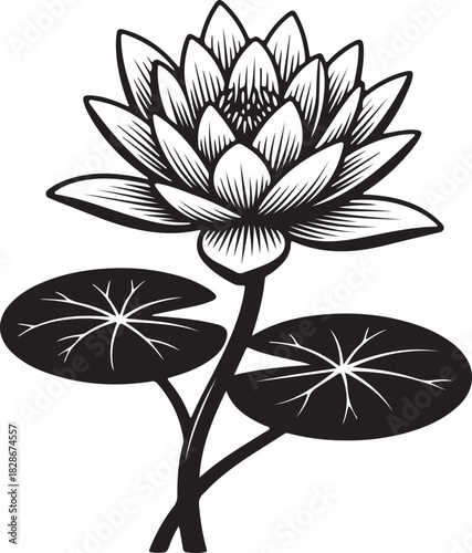 Elegant black and white illustration of a blooming water lily with lily pads