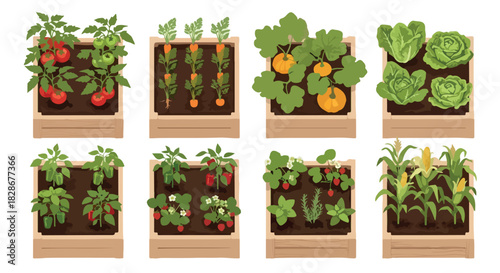 Raised garden beds with various vegetables and fruits