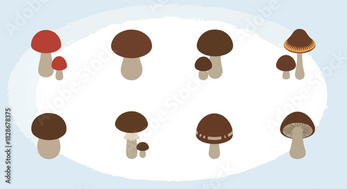 Various mushrooms collection with transparent background