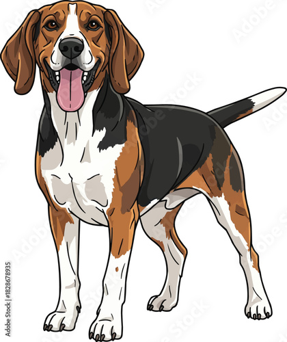 Harrier dog standing happy panting smiling facing front cute pose