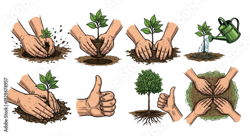Planting seedlings hands soil gardening process steps
