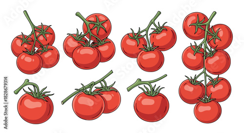 Red tomatoes on stems with transparent background