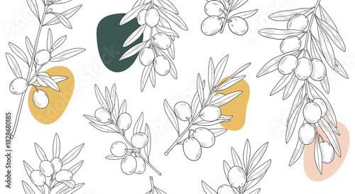 Modern seamless pattern of hand-drawn olive branches with abstract organic shapes in green and yellow for a stylish background.