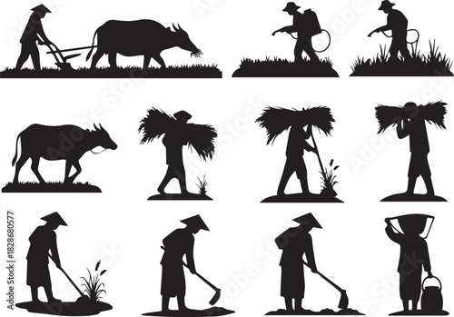 Silhouettes of Farmers Working in Rice Fields with Traditional Asian Hats