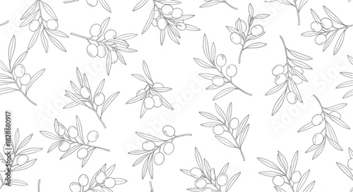 A beautiful seamless black and white line art pattern of olive branches with leaves and fruit creating an elegant organic background.