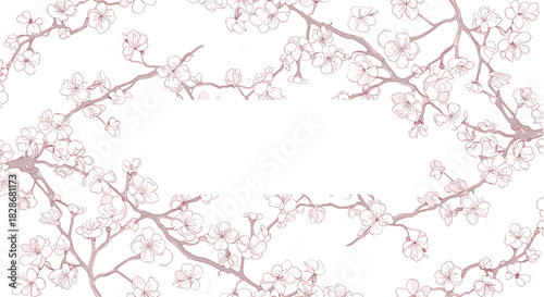 A delicate and romantic background frame of hand-drawn pink cherry blossom branches with a blank space in the middle for text.