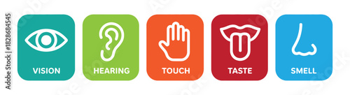 Human senses icon set. Explore the five senses with this vivid sensory icon set. Vision eye, smell nose, hearing ear, touch hand, taste mouth with tongue. Five senses of human nervous system. 