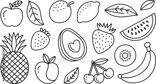 Fruits doodle line art illustration
