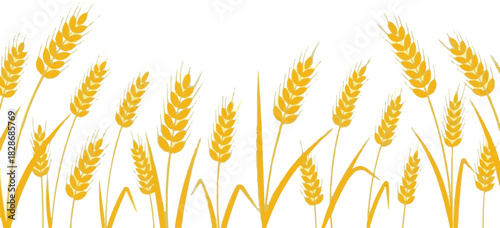 Golden wheat field vector graphic element design for agricultural themes