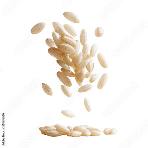 Floating Rice Grains Clean Transparent Background