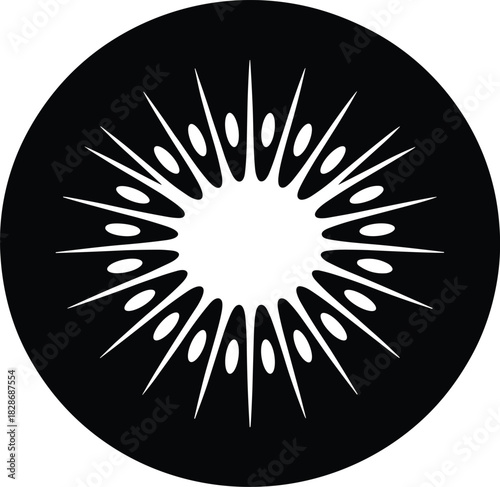 Abstract black and white starburst pattern with central oval shape