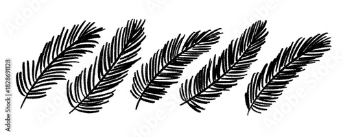 Hand-drawn set of fir branches with rough artistic ink edges. Organic monochrome illustrations ideal for winter themes, Christmas designs, holiday decor, and seasonal creative projects.