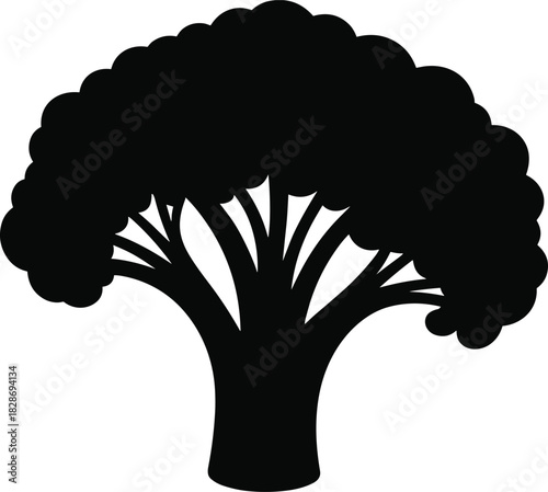 Silhouette of a large leafy tree with a broad canopy and thick trunk