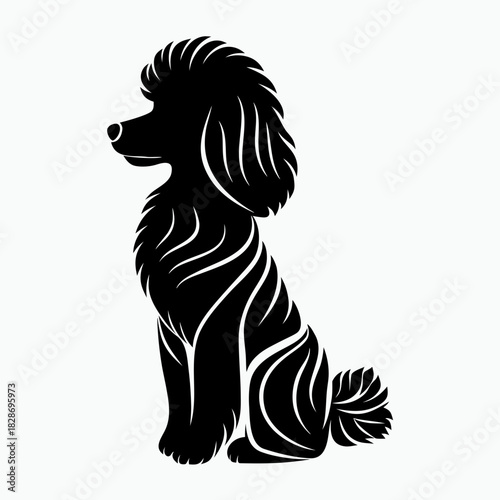 Black silhouette of a poodle dog sitting gracefully with a fluffy coat on white background