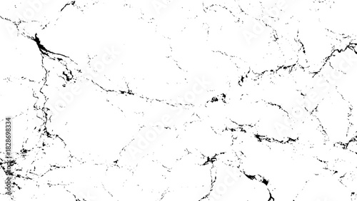 Abstract black and white grunge texture background with distressed detail Vector, illustration