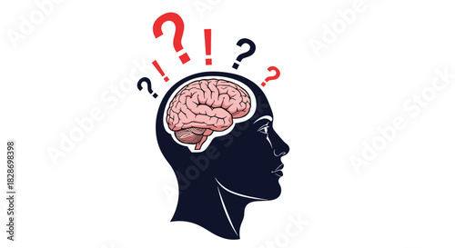 A simple cartoon illustration of the human brain with its detailed folds and textures.