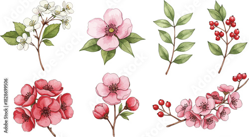 Collection of delicate watercolor floral illustrations with green leaves