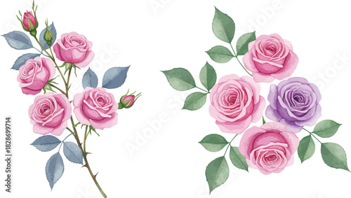 Watercolor floral arrangement of pink and purple roses with green leaves