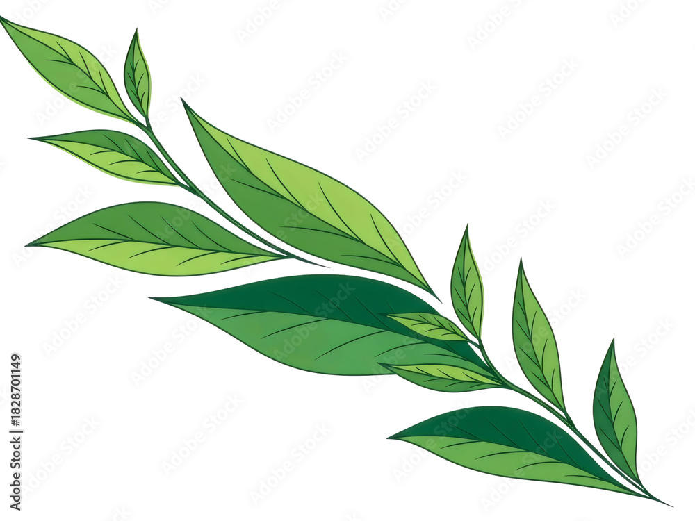 Fototapeta premium Green leaf branch illustration isolated PNG with Transparent Background