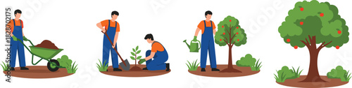 Gardener or Farmer Planting, Watering, Caring for Young Tree Sapling, Growing Process Stages, Wheelbarrow with Soil, Shovel, Leading to Large Fruitful Harvest Apple Tree