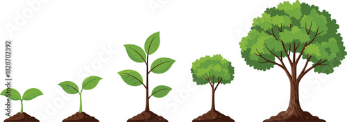 Growth, Development, and Life Cycle of a Tree: Sprout to Mighty Oak, Nature's Green Evolution, Planting Hope, Sustained Environmental Stewardship, Vector Illustration of Biological Progress,