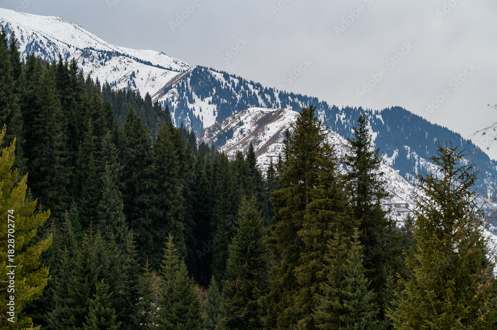 Obraz premium snow covered mountains