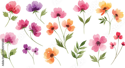 Collection of delicate watercolor floral illustrations in vibrant spring colors
