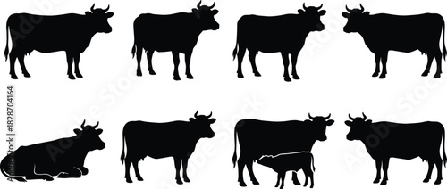 Cow silhouette set, farm animal collection, black vector cattle icons, standing and nursing calf, isolated on white background.