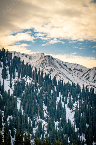 snow covered mountains in winter