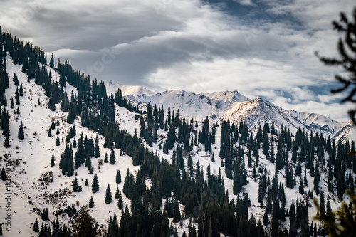 snow covered mountains in winter