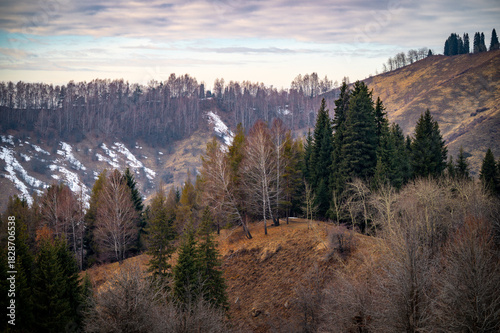 sunrise in the mountains