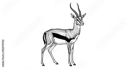 Intricate etching of a graceful gazelle with distinctive horns