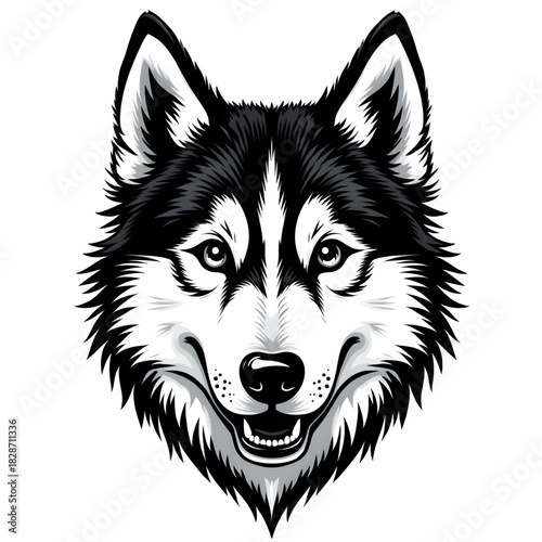 Majestic Husky Portrait: A striking monochrome illustration of a husky, capturing the breed's captivating gaze and distinctive markings, perfectly embodying their spirit.