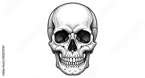 Intricate black and white skull art with detailed lines