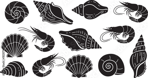 Collection of seashells and shrimps in black and white vector design