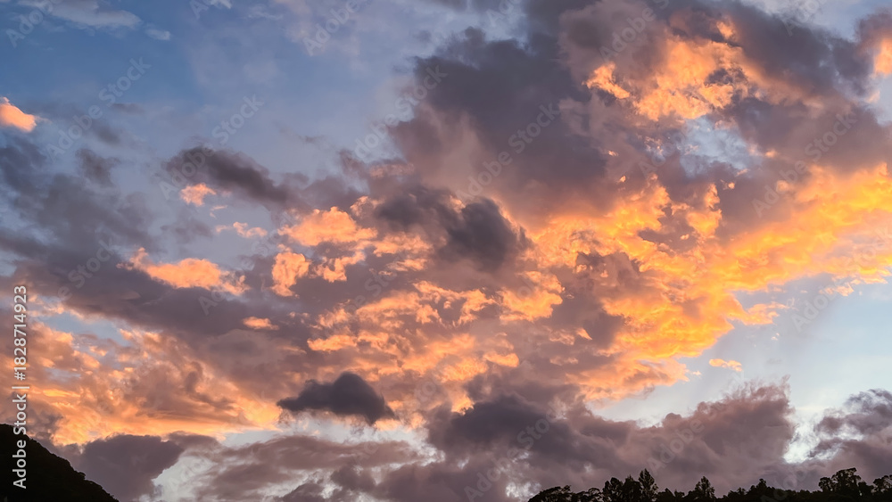 Fototapeta premium September dawn in Wulai, New Taipei City, Taiwan: vivid orange clouds above silhouetted trees and hills.