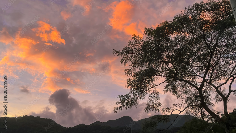 Fototapeta premium Dramatic orange and purple dawn sky with glowing clouds framed by dark tree branches over the mountains of Wulai, New Taipei City, Taiwan.
