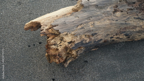 Pieces of weathered wood on the beach sand. Focus selected