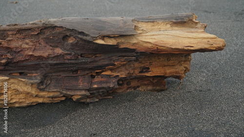 Pieces of weathered wood on the beach sand. Focus selected