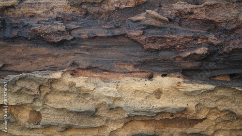 Weathered wooden surface texture. Focus selected
