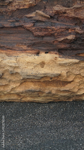 Pieces of weathered wood on the beach sand. Focus selected