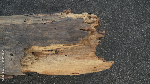 Pieces of weathered wood on the beach sand. Focus selected