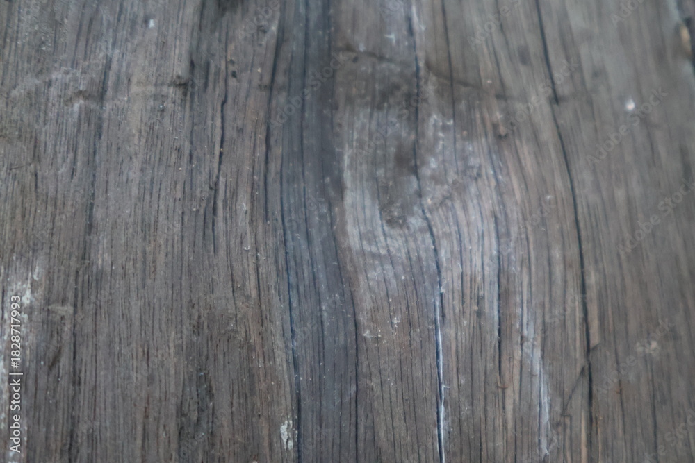 Obraz premium Close up wood texture for Background. 