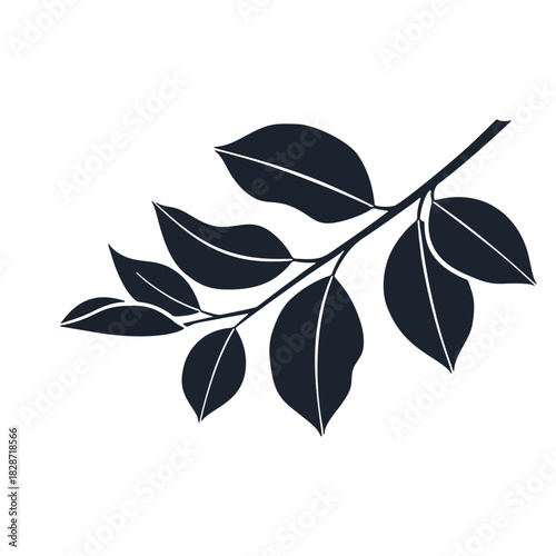 Vector Illustration of Branch with Leaves for Natural Design Elements