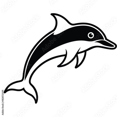 dolphin isolated on white background