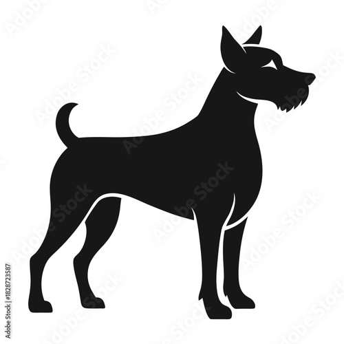 black dog isolated on white background