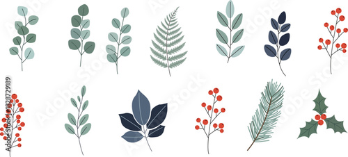 Illustration of various botanical elements including leaves berries and evergreen branches on white
