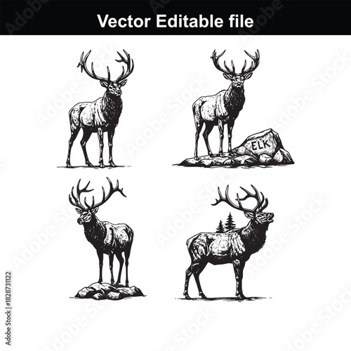 Set of four handdrawn elk illustrations in black and white, showcasing majestic antlers and detailed fur, isolated on white background