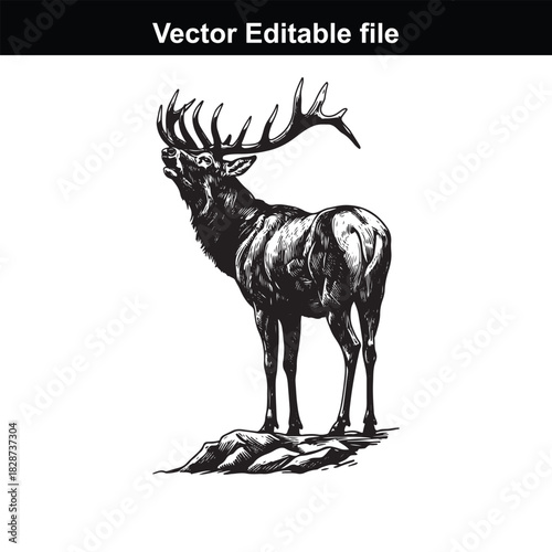 Majestic elk standing on a rock formation, detailed illustration, vector editable file